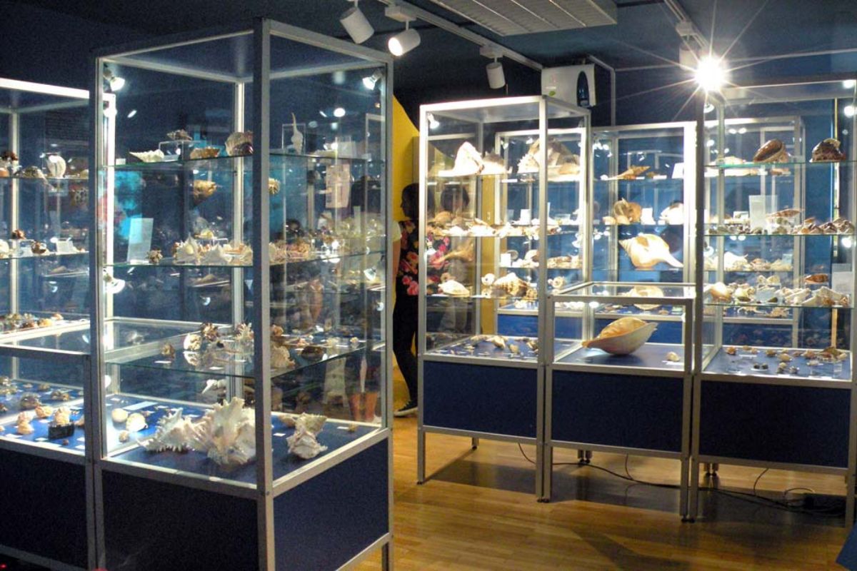 Razstavne vitrine